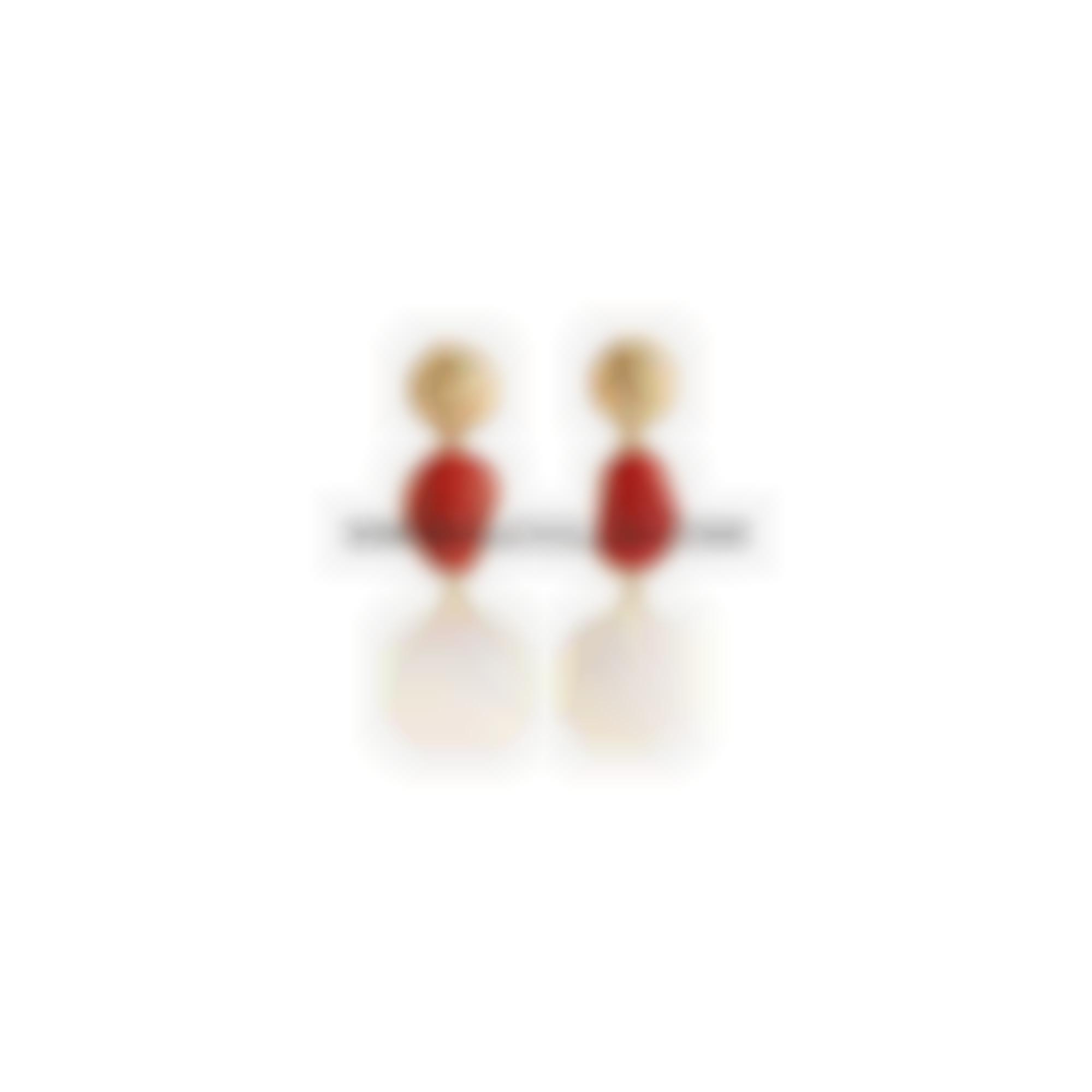 Earrings set in silver with natural red coral and stones