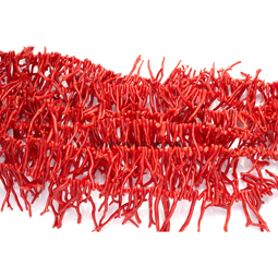 Natural red coral branch shape big size