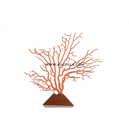 Branch red coral