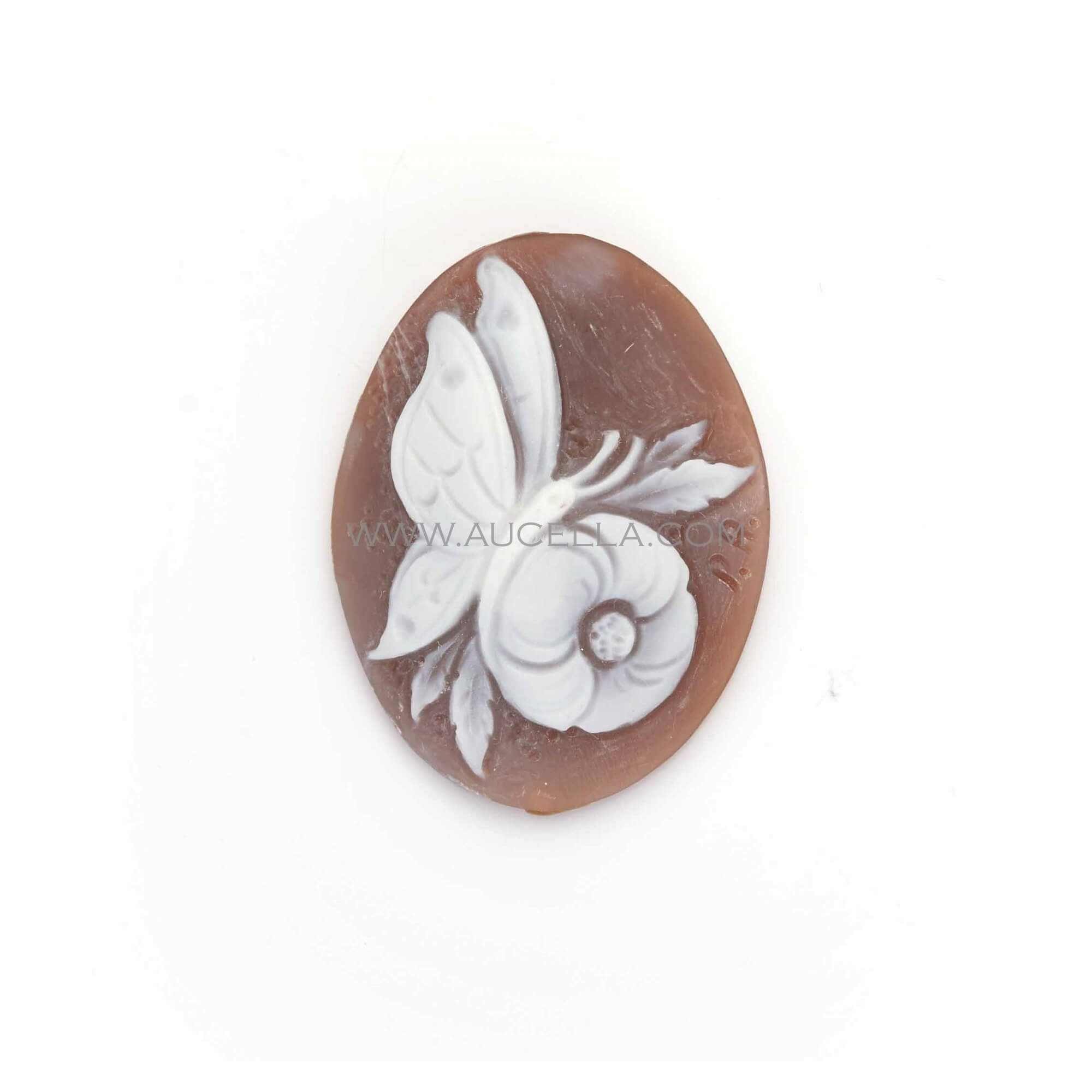 Cameo butterfly