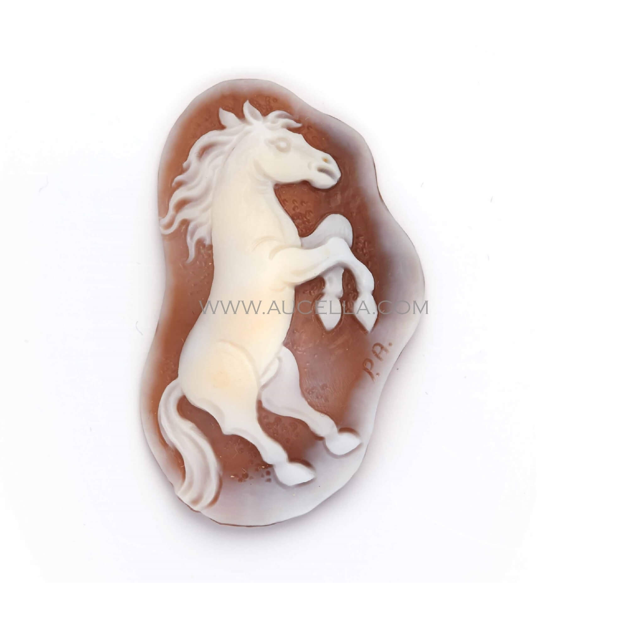 Cameo sardonyx horse