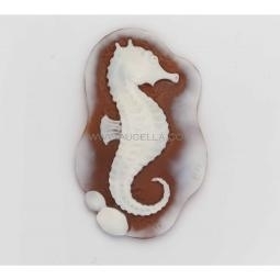 Seahorse on sardonyx shell