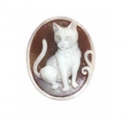 Cat carved on natural seashell cameo