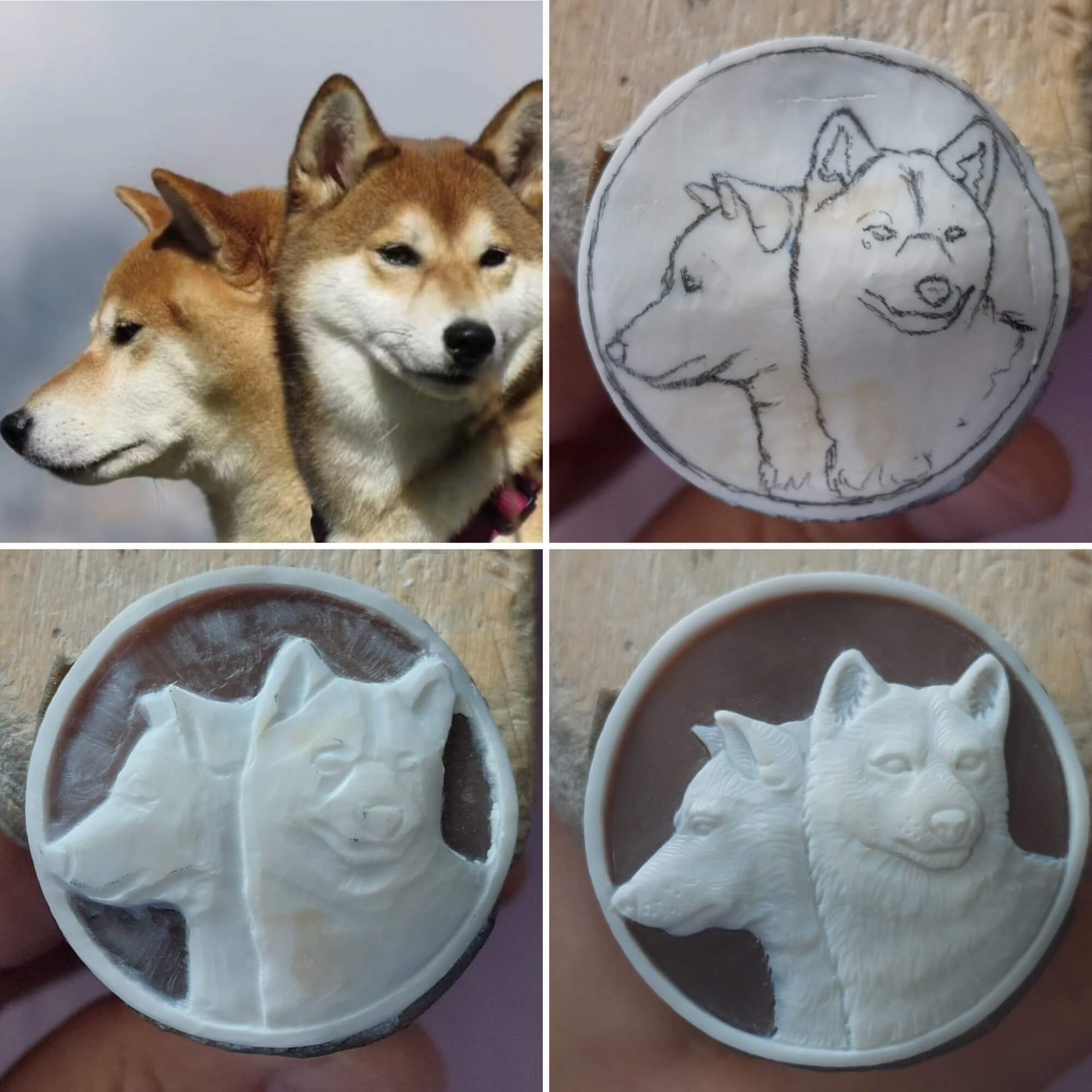 Dogs handmade on natural seashell 